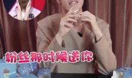 黑哥爆料玩偶视频,玩偶视频背后的惊人真相