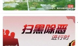 突发新闻视频爆料,事件背后真相令人震惊