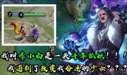 王者荣耀司令爆料视频,揭秘游戏幕后故事与精彩瞬间